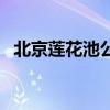北京蓮花池公園合唱團(北京蓮花池公園) 北京蓮花池公園合唱團(北京蓮花池公園)