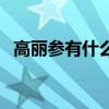 高麗參有什么功效呢（高麗參有什么功效）