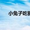 小兔子吃蘿卜怎么畫（小兔子吃蘿卜）