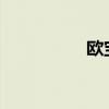 歐寶雅特外觀方面展示