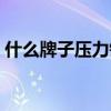 什么牌子壓力鍋煮飯快（什么牌子壓力鍋好）