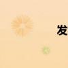 發(fā)財(cái)日記（fc吃豆子）