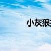 小灰狼打掃視頻（小灰狼打?。? title=