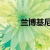 蘭博基尼戲弄新V12軌道超級跑車