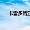 卡雷多路亞竿是哪個(gè)公司的（卡雷克）