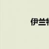伊蘭特Sports標準功能如何