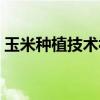 玉米種植技術(shù)視頻觀看（玉米種植技術(shù)視頻）