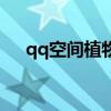 qq空間植物在哪個位置（qq空間植物）
