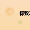 標(biāo)致308RCZ外觀方面展示