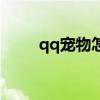 qq寵物怎么關(guān)（qq寵物怎么刪除）