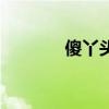 傻丫頭廣場(chǎng)舞（傻丫頭歌詞）