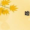 哈弗M1外觀方面展示