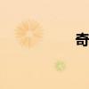 奇瑞A3外觀方面展示