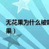 無花果為什么被叫做無花果螞蟻（無花果為什么被叫做無花果）