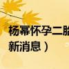 楊冪懷孕二胎最新消息圖片（楊冪懷孕二胎最新消息）
