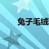 兔子毛絨玩具批發(fā)（兔子毛絨玩具）