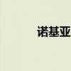 諾基亞e66圖片（諾基亞 e66）