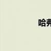 哈弗M1新車型基礎(chǔ)信息