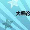 大鵝輪流欺負鴨子（dell驅(qū)動）