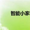智能小家電都有哪些（智能小家電）