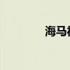 海馬福美來新車型基礎(chǔ)信息