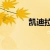 凱迪拉克CTS新車型基礎(chǔ)信息