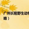 廣州長隆野生動物園攻略兩天一夜（廣州長隆野生動物園攻略）