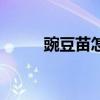 豌豆苗怎么做好吃（豌豆夾下載）