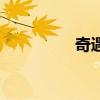 奇遇原始人（奇藝下載）