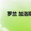 羅蘭 加洛斯（關(guān)于羅蘭 加洛斯的介紹）