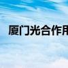 廈門光合作用（關(guān)于廈門光合作用的介紹）