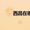 西昌在哪個省呀（西昌在哪個省）
