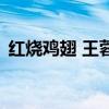 紅燒雞翅 王蓉（關(guān)于紅燒雞翅 王蓉的介紹）