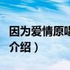 因?yàn)閻矍樵钦l(shuí)（關(guān)于因?yàn)閻矍樵钦l(shuí)的介紹）