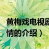 黃梅戲電視劇黃山情（關(guān)于黃梅戲電視劇黃山情的介紹）
