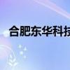 合肥東華科技（關(guān)于合肥東華科技的介紹）