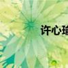 許心瑜（關(guān)于許心瑜的介紹）