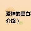 愛(ài)神的黑白羽翼3（關(guān)于愛(ài)神的黑白羽翼3的介紹）