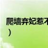 爬墻棄妃惹不起（關(guān)于爬墻棄妃惹不起的介紹）