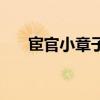 宦官小章子（關(guān)于宦官小章子的介紹）
