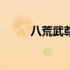 八荒武尊（關(guān)于八荒武尊的介紹）