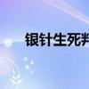 銀針生死判（關(guān)于銀針生死判的介紹）