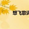 想飛歌詞（關(guān)于想飛歌詞的介紹）