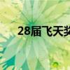 28屆飛天獎（關于28屆飛天獎的介紹）