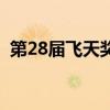 第28屆飛天獎（關于第28屆飛天獎的介紹）