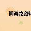 柳海龍資料（關(guān)于柳海龍資料的介紹）