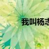 我叫楊志（關(guān)于我叫楊志的介紹）