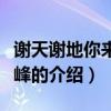 謝天謝地你來(lái)啦邵峰（關(guān)于謝天謝地你來(lái)啦邵峰的介紹）