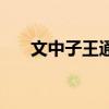 文中子王通（關(guān)于文中子王通的介紹）