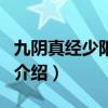 九陰真經(jīng)少陽神功（關(guān)于九陰真經(jīng)少陽神功的介紹）